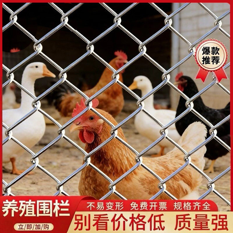 热镀锌铁丝勾花网包塑装饰挂网户外养殖圈地球场隔离栅栏围网