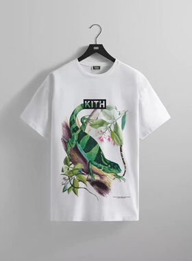 KITH for AMNH Lizards Vintage Tee美国自然历史博物馆联名 蜥蜴