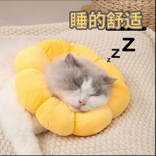 伊丽莎白圈猫项圈防舔除跳蚤英短猫咪脖圈颈圈头套狗宠物用品