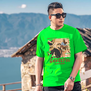 夏季黑绿胖哥肥佬短袖圆领休闲肥佬T恤加肥加大胖显瘦大码宽松袖