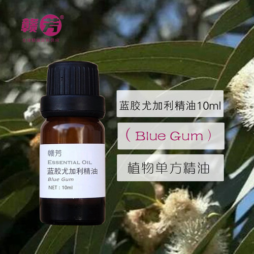 纯蓝胶尤加利精油10ml蓝桉单方
