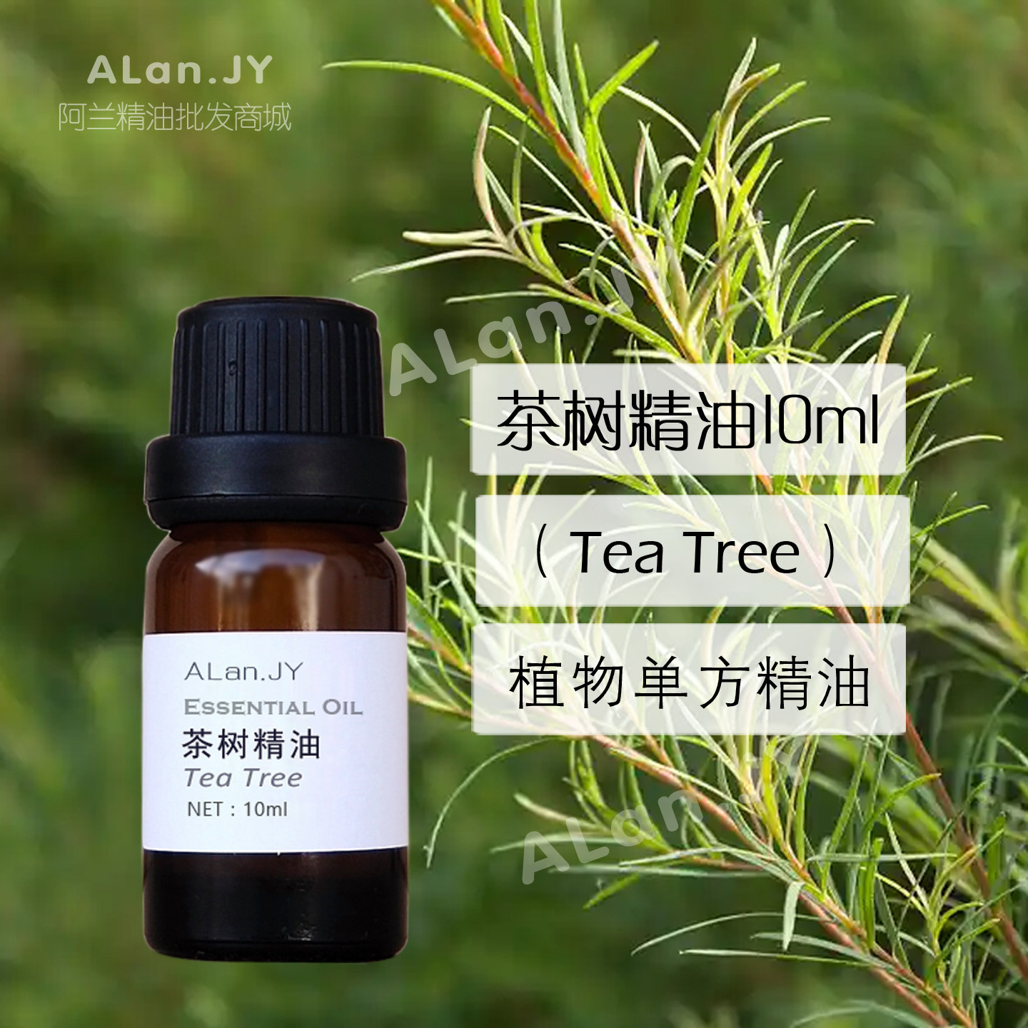 澳洲纯茶树精油10ml植物单方改善痘痘精神提振空气香薰按摩油原料