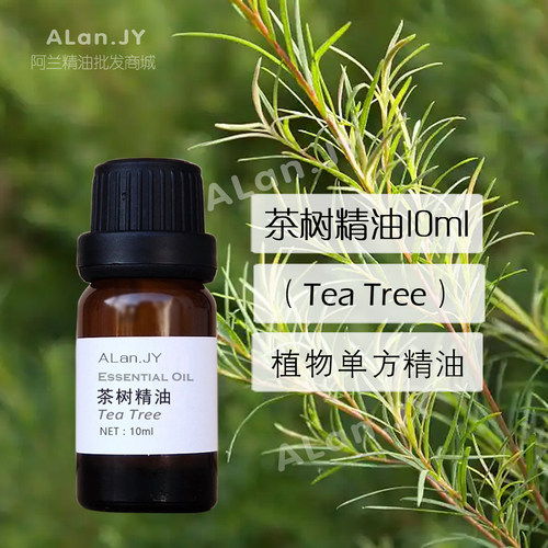 澳洲纯茶树精油10ml植物单方改善痘痘精神提振空气香薰按摩油原料