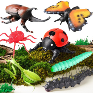 儿童认知软胶昆虫动物模型大号独角仙瓢虫蝴蝶毛毛虫蜘蛛益智玩具