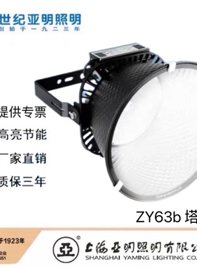 上海亚明 1923亚牌 LED投光灯ZY63B 码头照明 高杆灯 塔吊灯球场