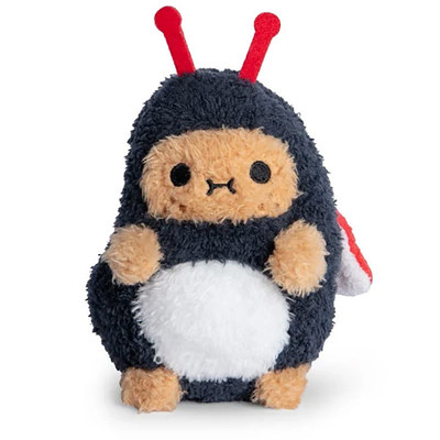 NoodollRicespudBeetle