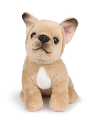 英国代购正品09.11 Bon Ton Toys - Phillipe 法国斗牛犬 玩偶