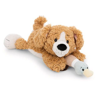 Homies Brown Dog 英国代购 Duck 12.26 with 棕色狗与鸭子 正品