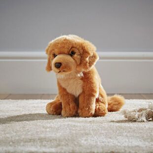 英国代购正品12.31 Living Nature Golden Retriever 金毛寻回犬