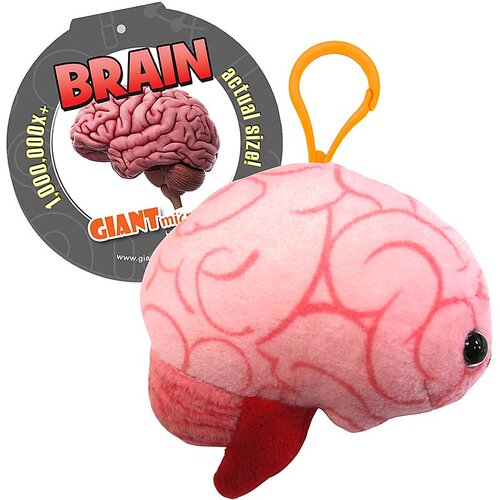 英国代购正品07.13 Brain Keyring 巨型微生物大脑钥匙扣教育辅材