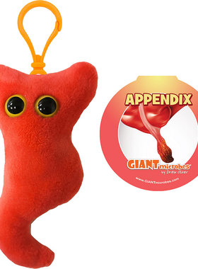 英国代购正品02.28 Appendix Keyring 教育辅材 微生物附录钥匙扣