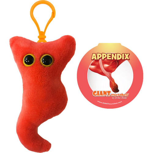 AppendixKeyring教育辅材