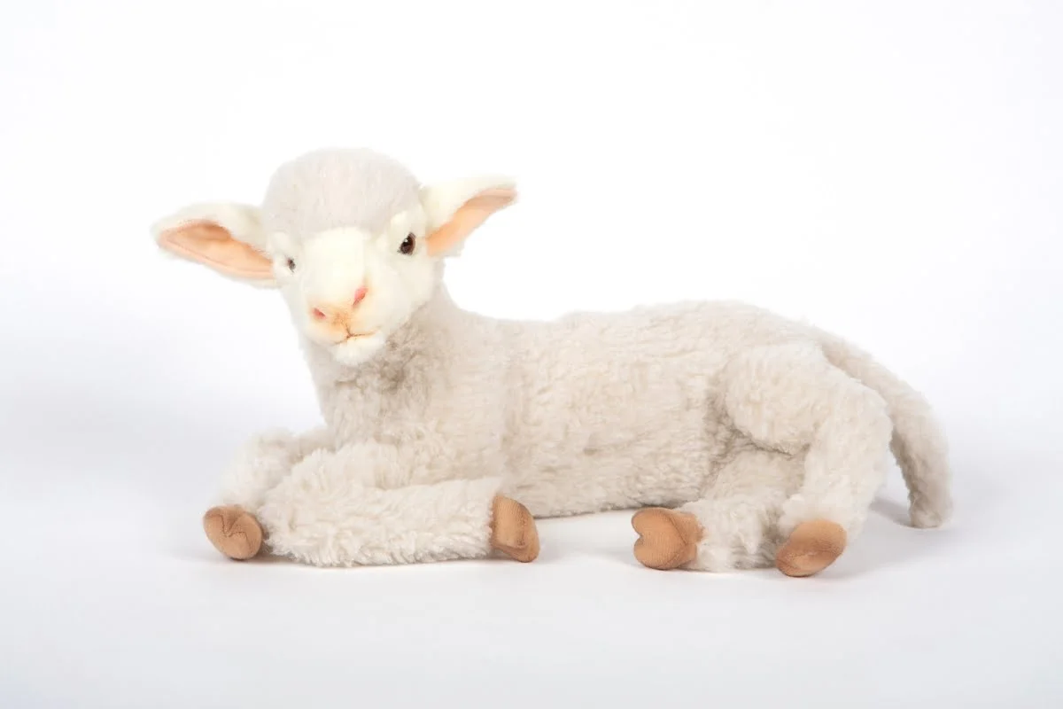 英国代购正品03.30 Hansa 6563 Lamb Cream小羊羔 仿真毛绒玩具