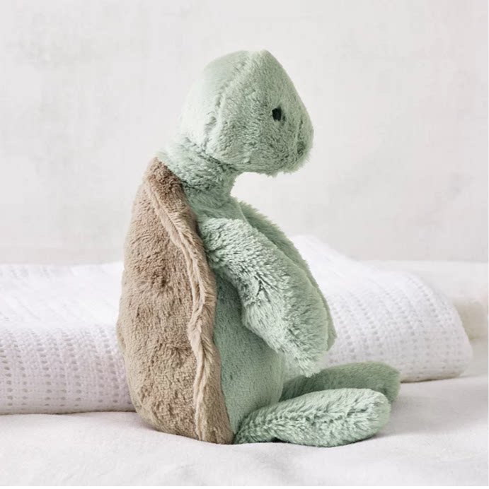 BASHFULTURTLE害羞的乌龟