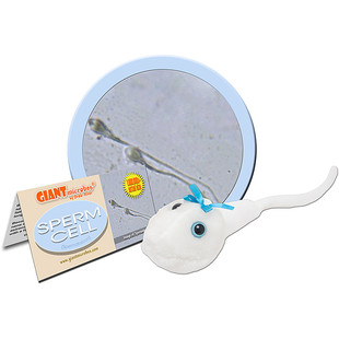 正品 巨型微生物精子细胞 12.22 Cell 教育毛绒玩偶 Sperm 英国代购