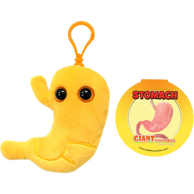 GiantMicrobesStomach