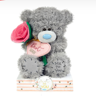 Flower拥抱楠花熊熊 正品 玩偶 Nan 12.19 Best 英国代购 You