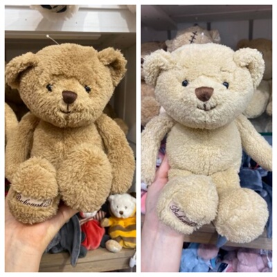 BukowskiBearsIgnatius