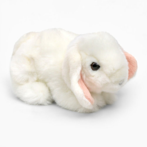 英国代购正品05.07 Living Nature Small White Lop 小白垂耳兔