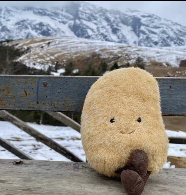 国内现货秒！08.08 jellycat Potato 土豆玩偶小红书同款推荐