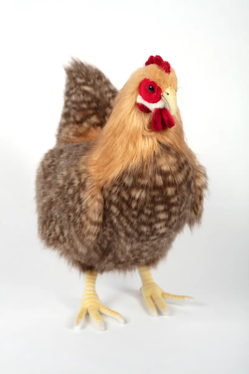 英国代购正品03.30 Hansa 4588 Hen Beige 母鸡仿真毛绒玩偶