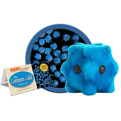 GiantMicrobesCommonCold