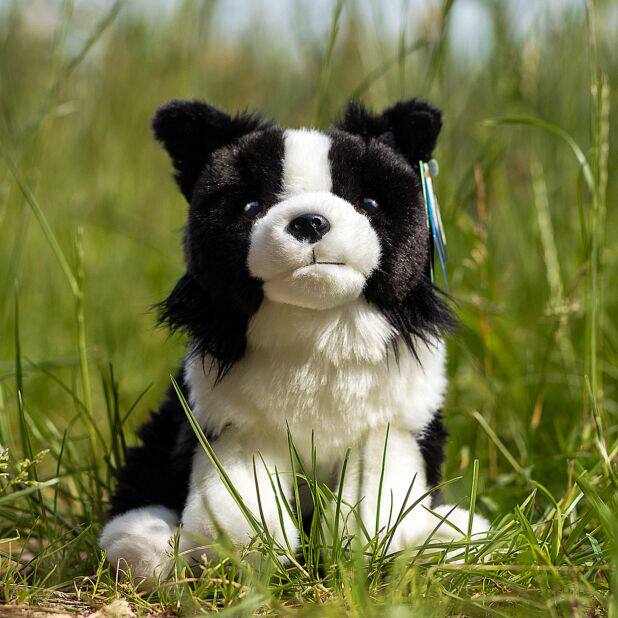 英国代购正品02.17 living nature 24新款 边境牧羊犬 毛绒玩偶