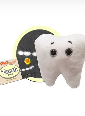 英国代购正品12.22 Tooth (Molar) 抽象 牙齿（臼齿）  毛绒玩偶