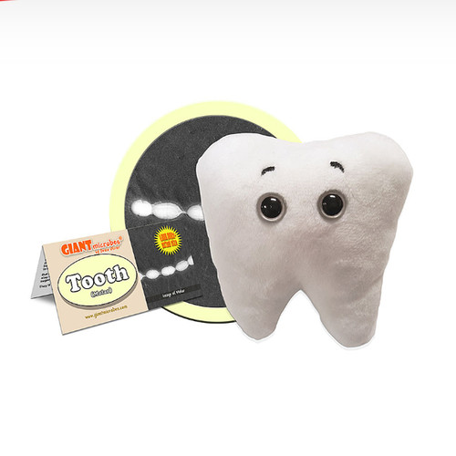 Tooth(Molar)抽象牙齿（臼齿