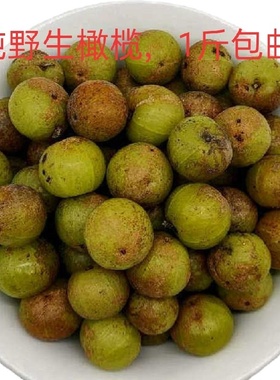 5斤现摘新鲜油甘果孕妇酸水果牛甘果油甘子余甘果云南野生滇橄榄