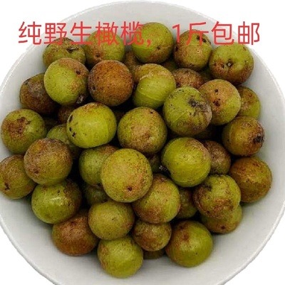 野生滇橄榄余甘果云南油甘果现摘