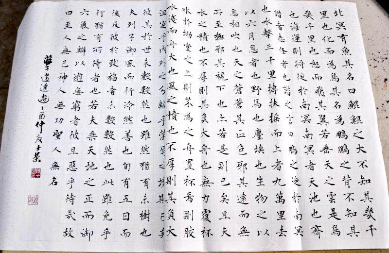 逍遥游北冥有鱼其名为鲲至人无己神人无功圣人无名陈士荣书法真迹