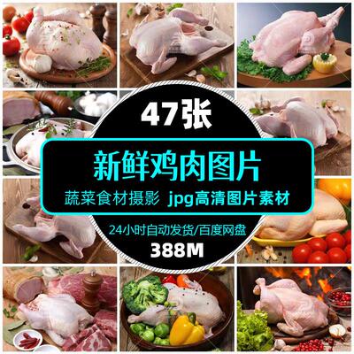 高清餐饮美食新鲜鸡肉鸡脯图片jpg食材促销单张设计海报精选素材