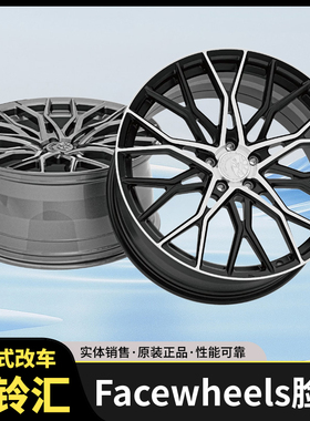 FACEWHEELS脸圈 FW172款定制锻造轮圈一片式适用德系日系美系车