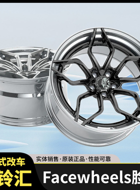FACEWHEELS脸圈 FW282款定制锻造轮圈两片式适用德系日系美系车