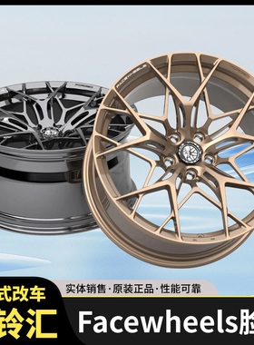 FACEWHEELS脸圈  FW1024款定制锻造轮圈一片式用德系日系美系车