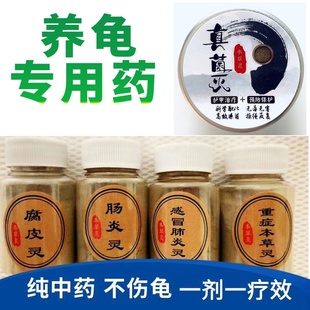 龟药白眼腐皮烂甲腐甲浮水真菌灭肺炎感冒康复本草灵水肿溃疡乌龟