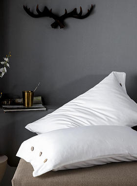 BB一对纯60支贡缎长绒棉纯棉全棉纯色枕套枕头套枕芯套纯白色