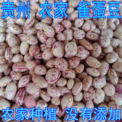 雀蛋豆 贵州 新货 农家四季豆 干豆 花生豆酸菜豆 饭豆 芸豆干货