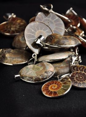 精美天然斑彩螺化石切片项坠