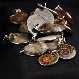 精美天然斑彩螺菊石纹螺化石切片好运连连吉祥符项坠吊坠女挂件男