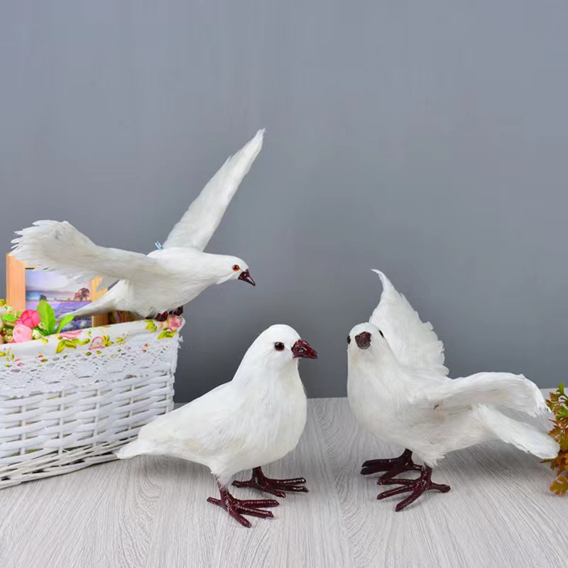 羽毛装饰品和平鸽室内道具羽毛