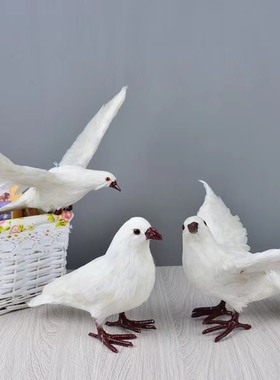 羽毛装饰品和平鸽室内道具羽毛
