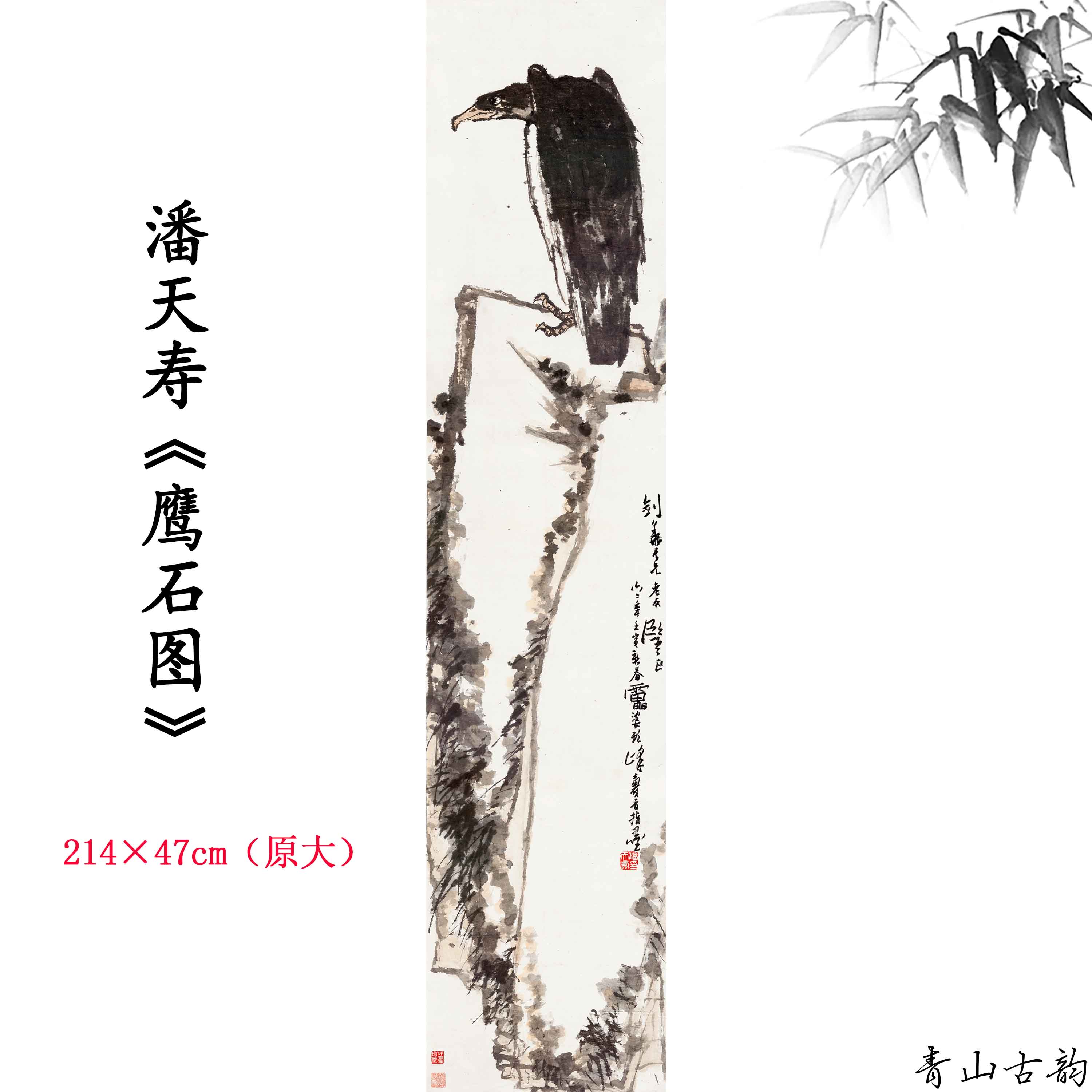 11潘天寿鹰石图轴近现代水墨