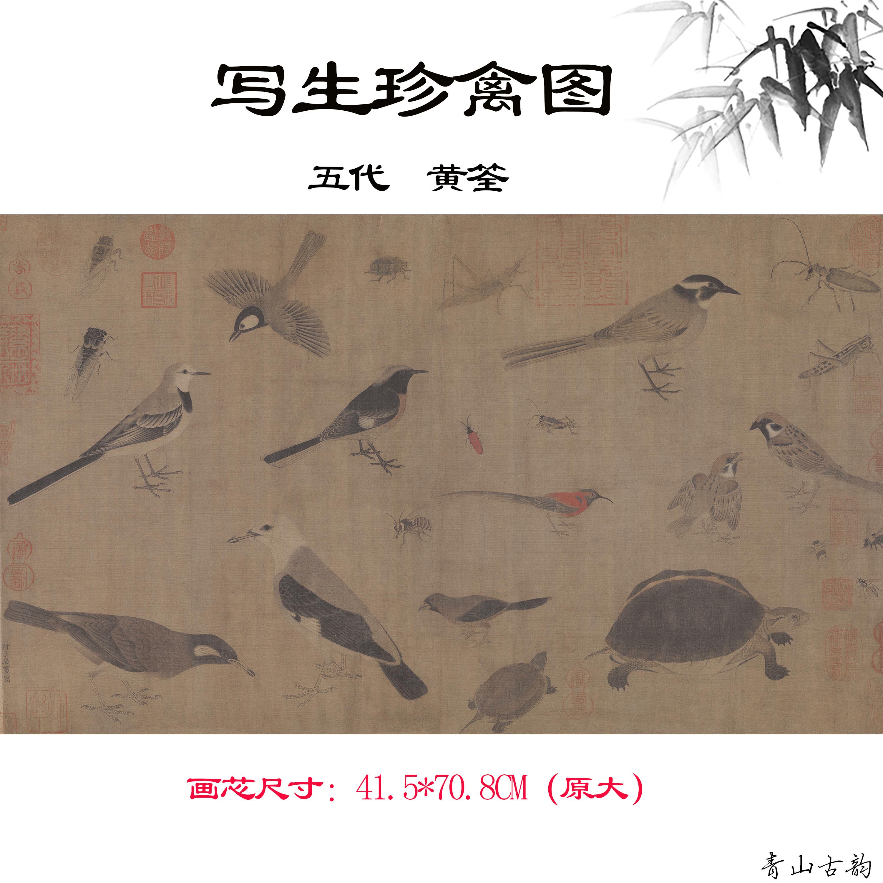 1:1五代黄筌写生珍禽图卷绢本高清数字微喷复制雀鸟临摹美院素材