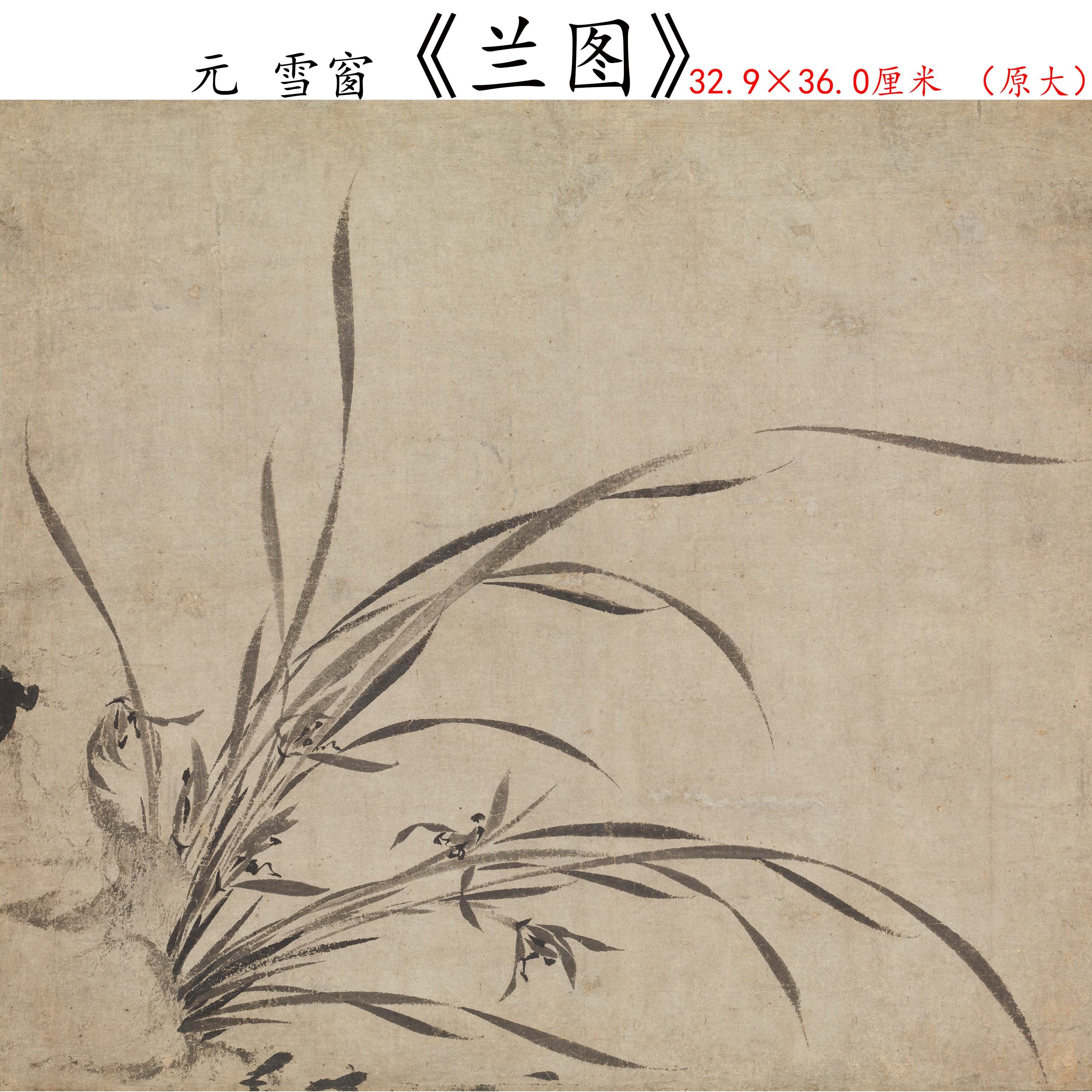 古画兰花,古画水墨画_大山谷图库