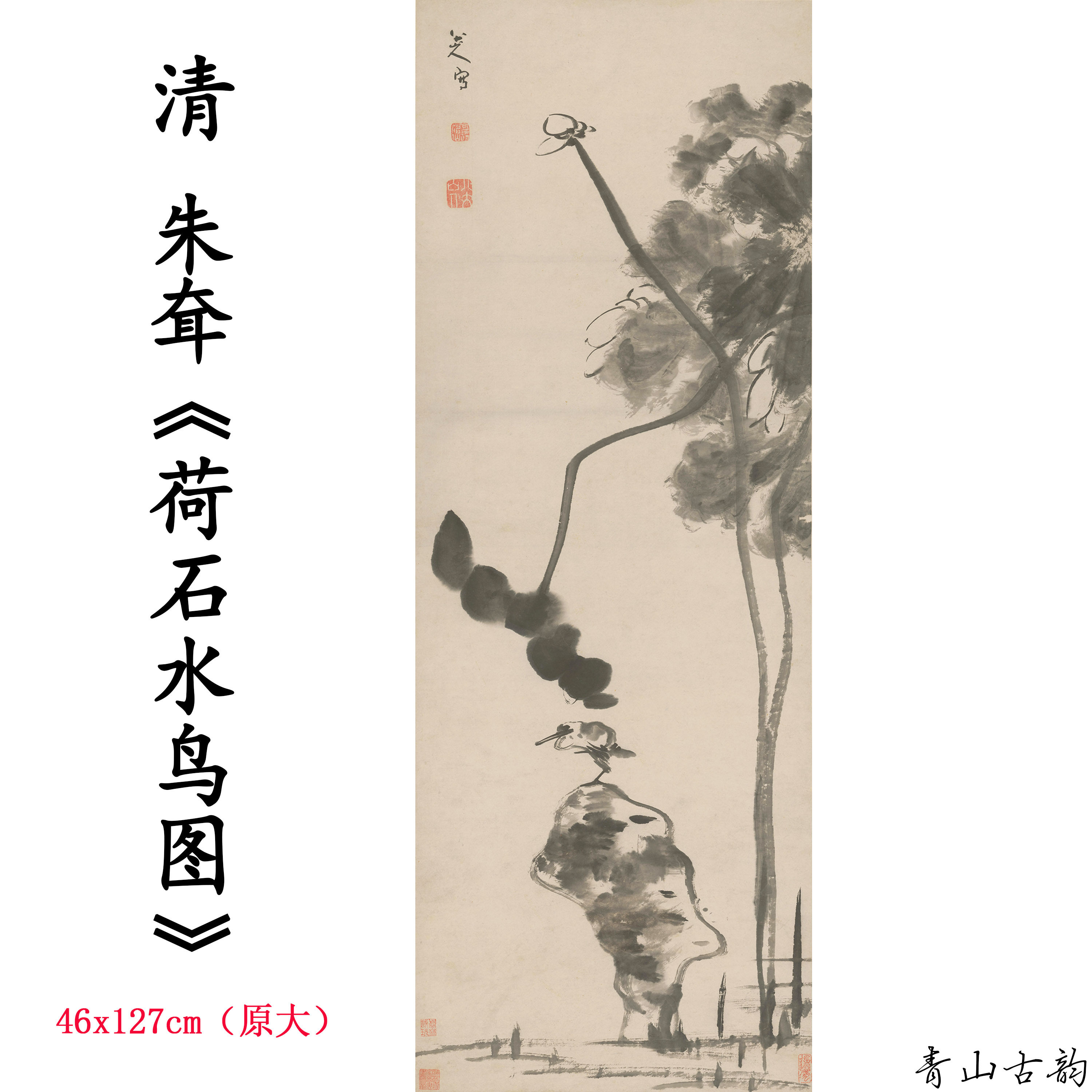 1:1清 朱耷 荷石水鸟图轴 国画装饰画挂画高清喷绘复制临摹范本