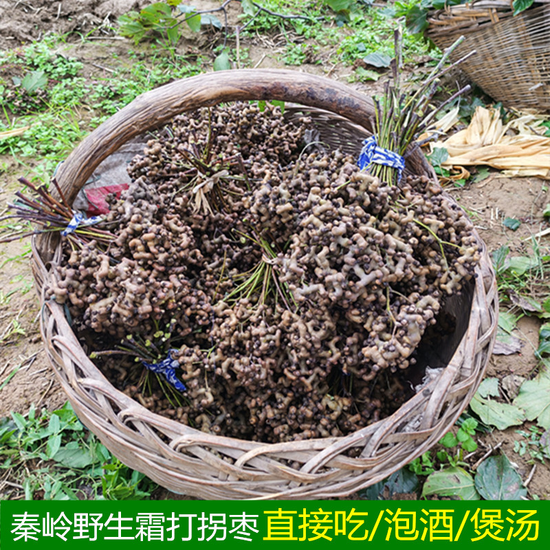 2026年陕西秦岭霜打野生新鲜拐枣