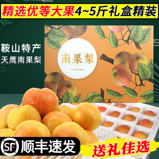 天鹰南果梨海城南国梨精品礼盒鞍山特产皮薄汁多当季新鲜水果