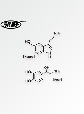 熊野快乐恐惧化学分子式简约